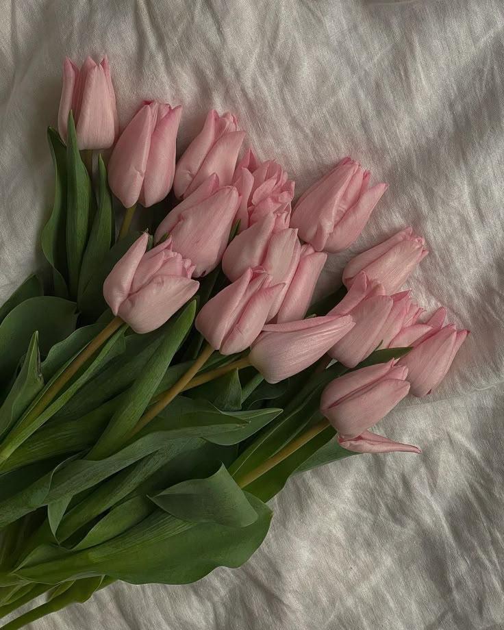 Mystic Meadows Blossom Collection